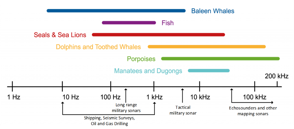 Underwater Noise Emittance Measurement and Sensitivities of Marine Life
